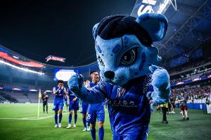 今晚报：申花和津门虎“残阵”对决，，，，磨练双方主教练的调解能力_24直播网