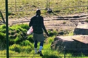 还不归队！意媒：卢卡库在安特卫普训练，，预计归期不会早于下周中_24直播网